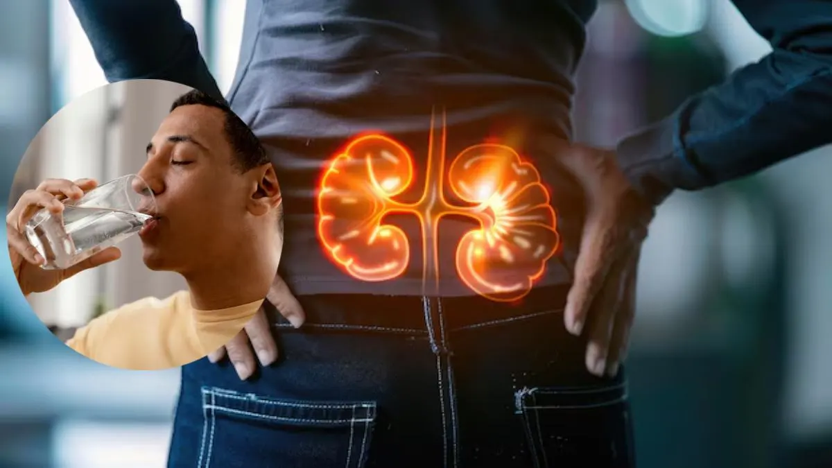 kidney