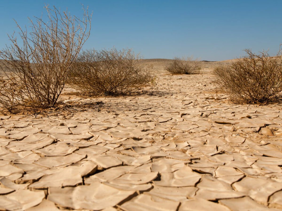 desert